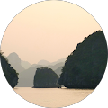 M West Avatar