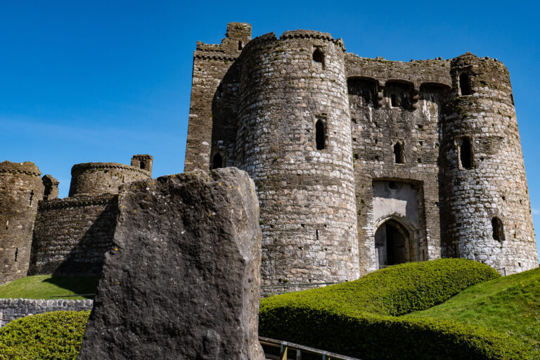 P1010154 2 1 768x512