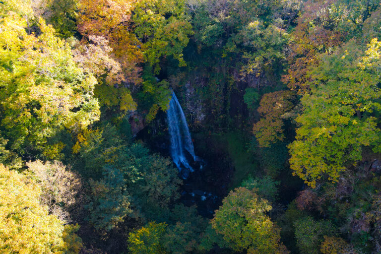 DJI 0446 768x512