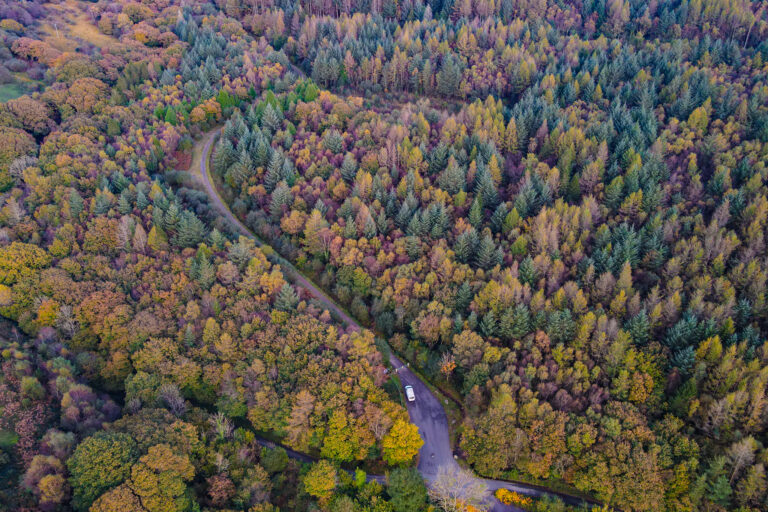DJI 0511 768x512