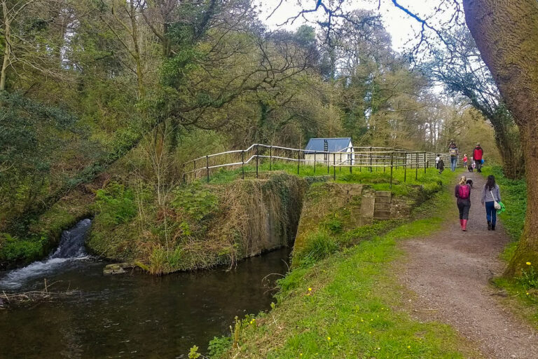 IMG 20170417 163221404 768x512