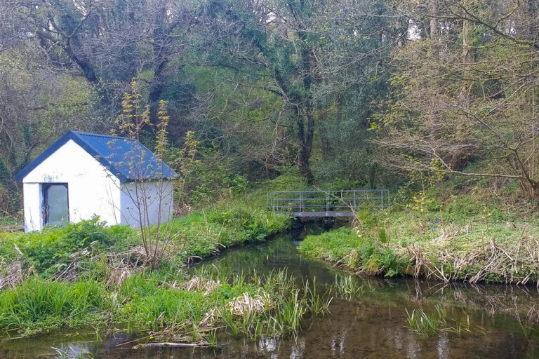 IMG 20170417 163349217 768x512