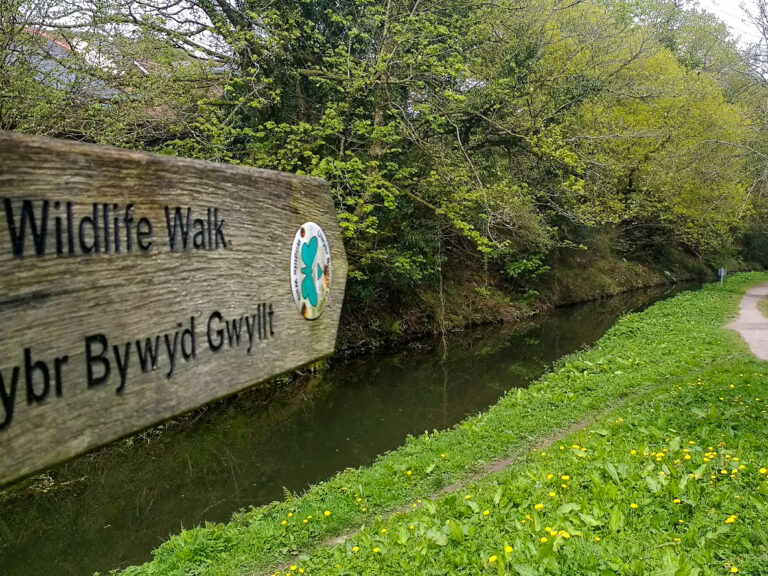 IMG 20170418 135506414 768x576