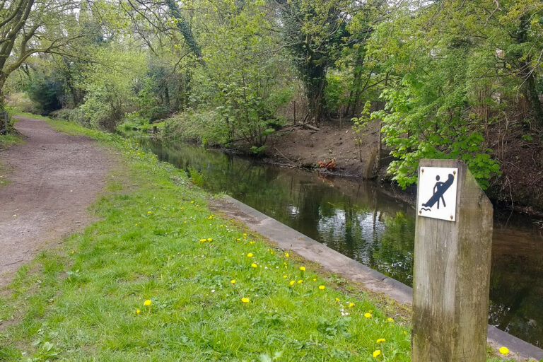 IMG 20170418 135631051 BURST000 COVER 768x512