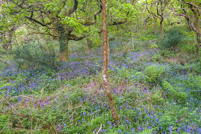 IMG 20170514 162539678 768x512