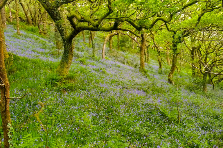 IMG 20170514 162547568 768x512