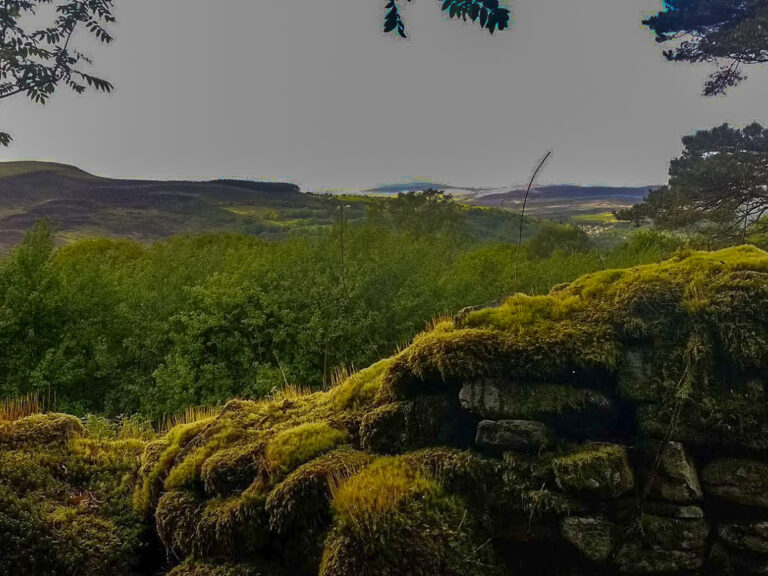 IMG 20170514 162923108 768x576