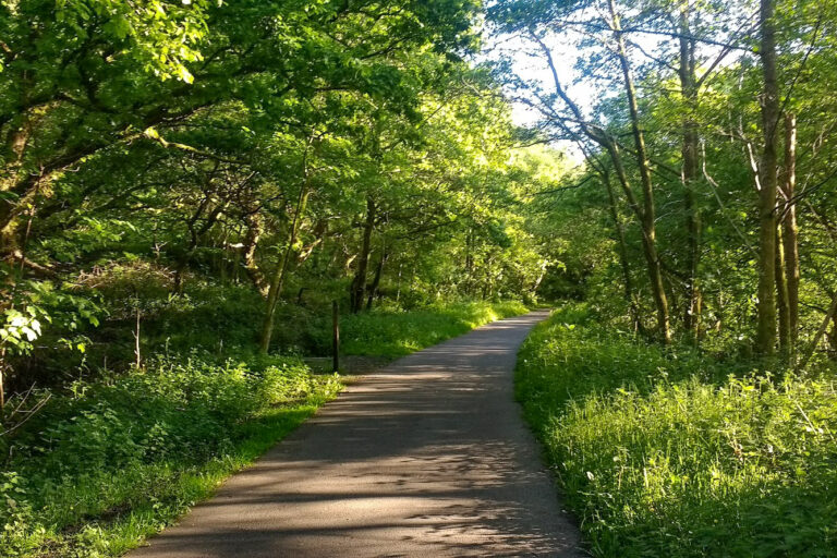 IMG 20170526 191251526 768x512