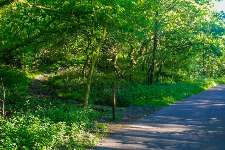 IMG 20170526 191301757 768x512