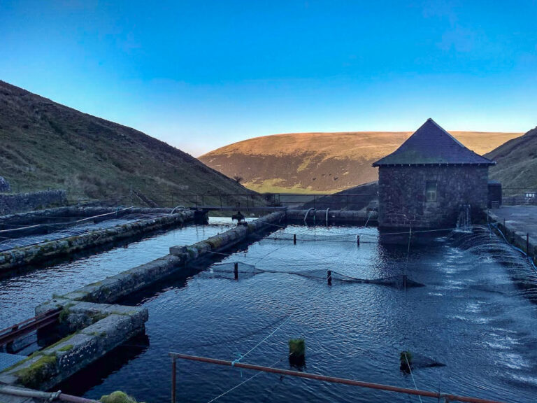 IMG 20181118 150311110 HDR 768x576