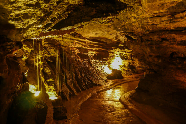 P1260314 copy 768x512