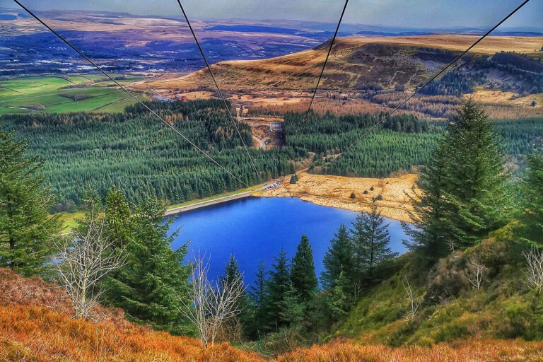 175559735 179191774023489 2765079871626784958 n 768x512