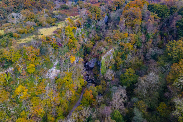 DJI 0610 1 768x512