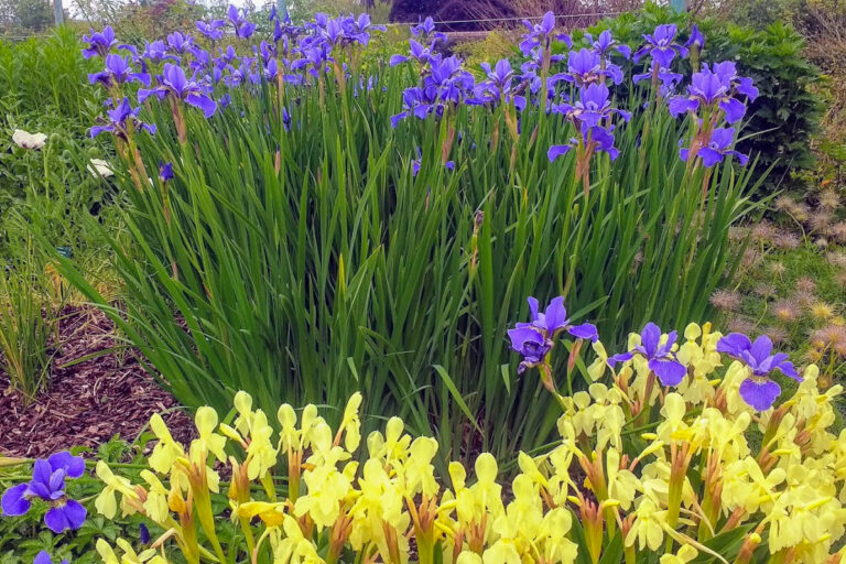 IMG 20170529 134814259 768x512