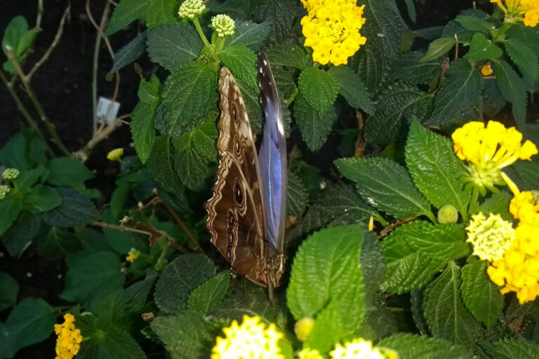 IMG 20170529 135636218 768x512