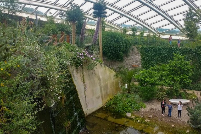 IMG 20170529 144613464 768x512