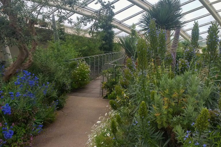 IMG 20170529 144734138 768x512