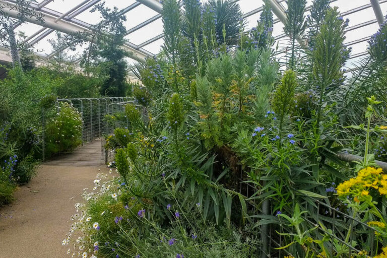 IMG 20170529 144748263 768x512