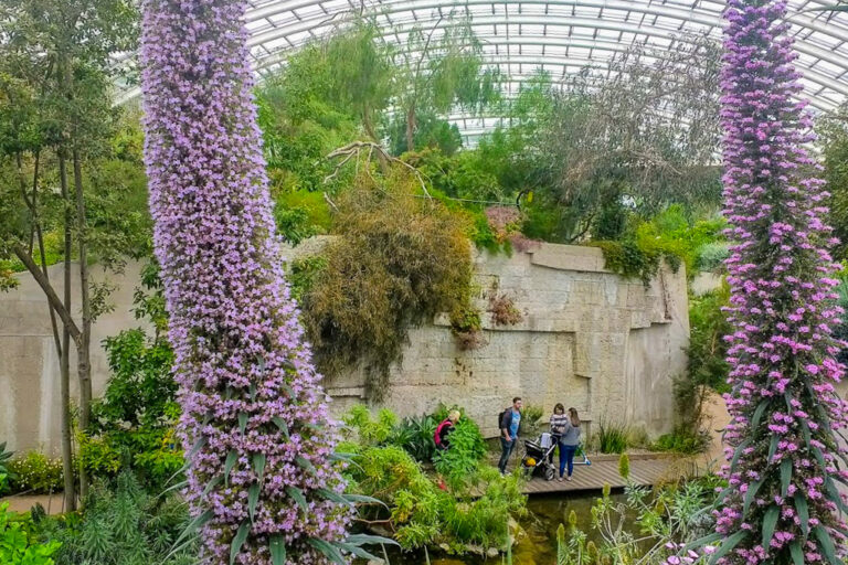 IMG 20170529 144953613 768x512