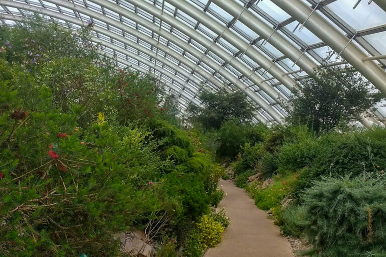 IMG 20170529 145618247 768x512