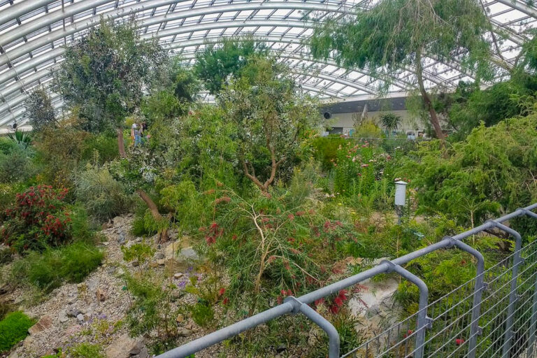 IMG 20170529 150401654 768x512