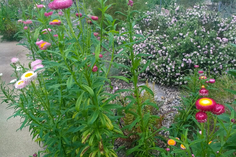 IMG 20170529 150551214 768x512