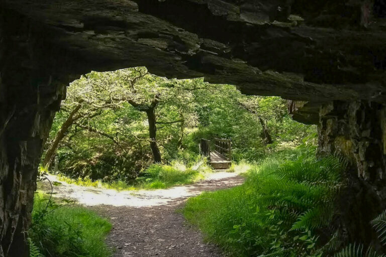 IMG 20170709 131408962 768x512