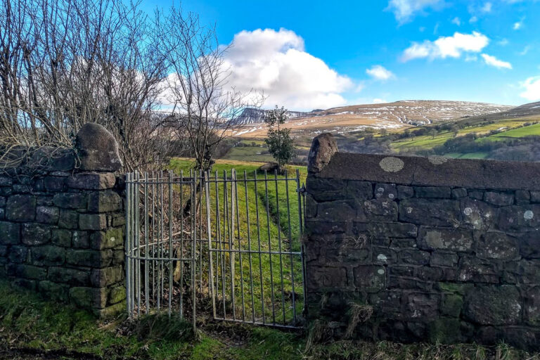 IMG 20190204 140859268 HDR 768x512