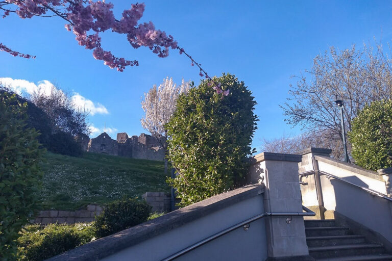 IMG 20190324 162554682 768x512