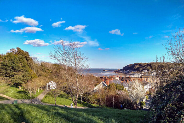 IMG 20190324 163617979 HDR 768x512