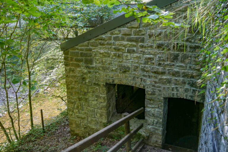 P1350116 768x512