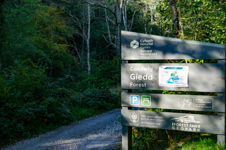 P1350129 Copy 768x512