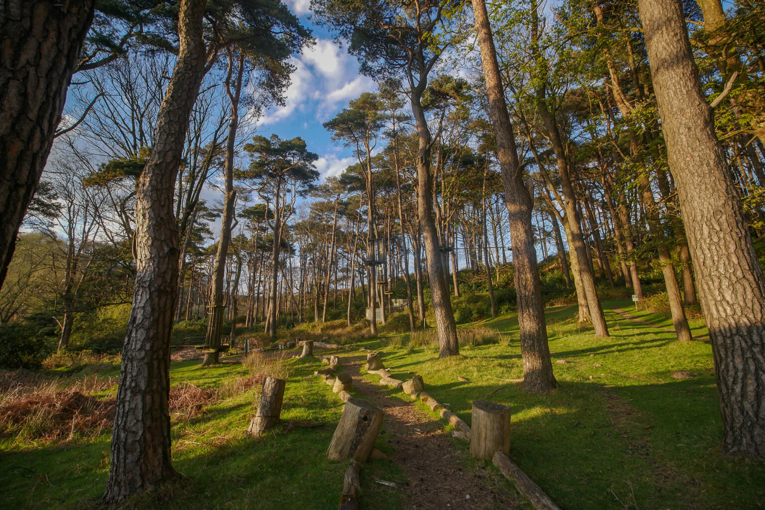 Go Ape @ margam | Explore South Wales