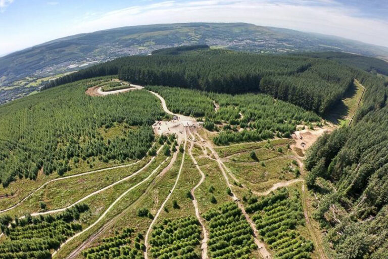 img 16171102017 768x512