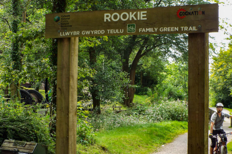 DSCF5071 1 1 768x512