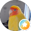 Sophiá Avatar