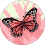 Nicola Avatar