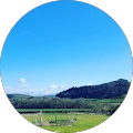 Camp Siriol Avatar